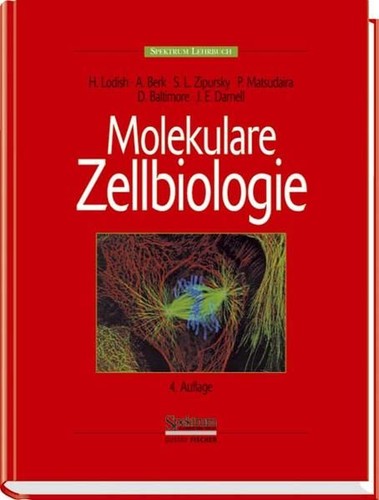 Molekulare zellbiologie - molekulare,