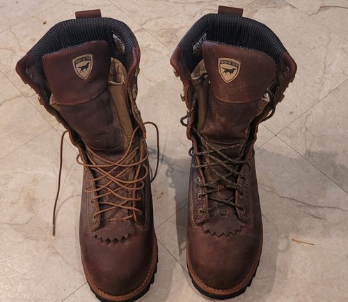 Irish setter 882 elk - elk, tracker
