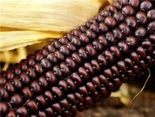 10 SEMI DI MAIS OSAGE BROWN