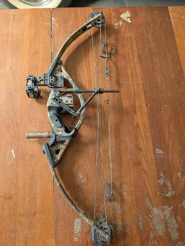 Hoyt intruder compound - compound, bow