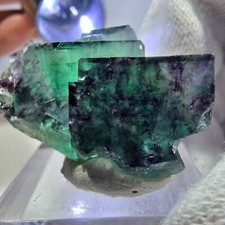 Raro esemplare di cubo di