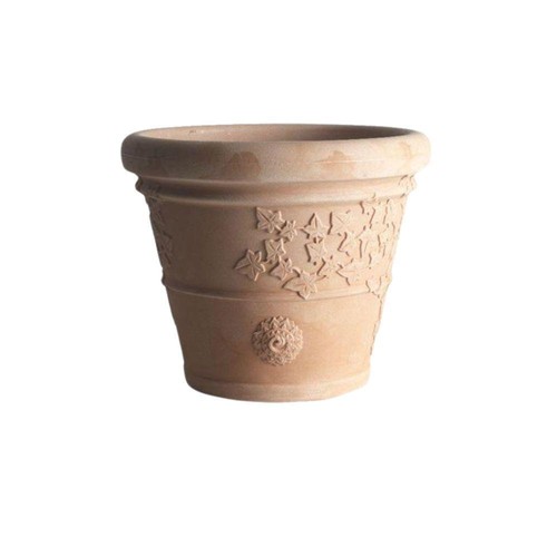 Vaso res h24 - vaso,