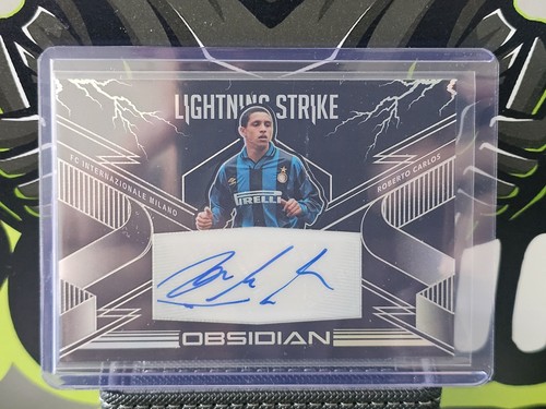 Panini obsidian roberto - panini,