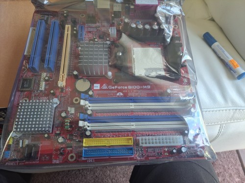 Biostar geforce 6100 socket - geforce,