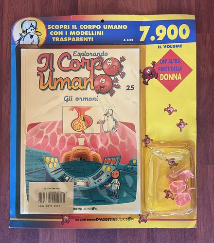 Esplorando corpo - il,