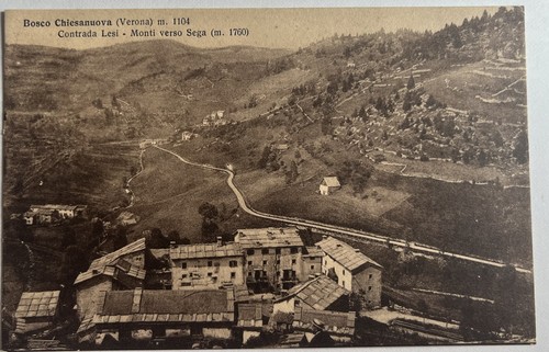 Cartolina antica bosco - antica,