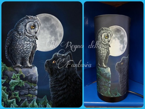 Cat katze gatto gufo - gatto, owl