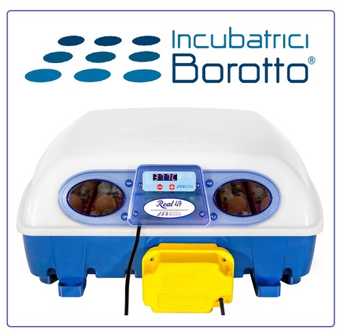 Incubatrice automatica real - real, 49
