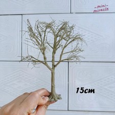 Tronchi albero fai da te in