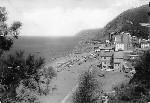 Cartolina deiva marina - cartolina,