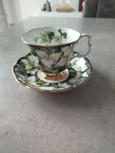 Royal albert provincial - albert,