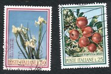 Italia 1967 Fiori Frutta Flora flowers fruits piante plants natura nature fruit