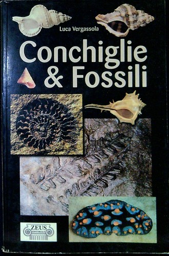 Fossili le conchiglie - i,