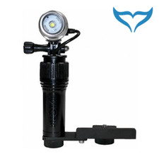 Video Light AVL luce