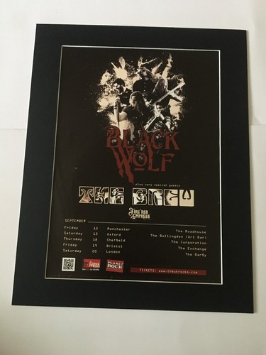 Black wolf 2014 - wolf-2014, uk