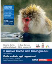 libri scolastici scuola