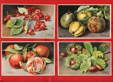 FRUTTA - ILLUSTRATORE S. BONELLI - SERIE LOTTO DI 16 CARTOLINE FP -vedi foto