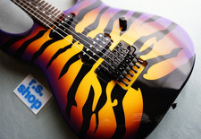Chitarra elettrica Edwards By