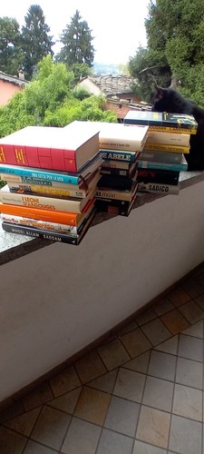 Lotto vecchi libri - vecchi,