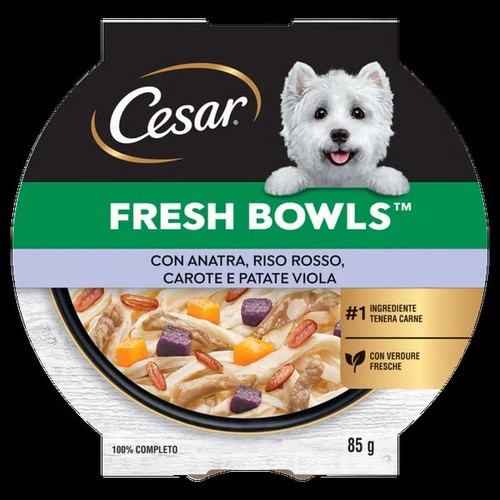 Cesar cane fresh bowls - cesar,