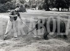 Foto vintage Animali, Elefanti, Elefante giardiniere, 1958,  Stampa 21 x 15 cm