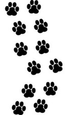 24x Kit zampette adesive gatto