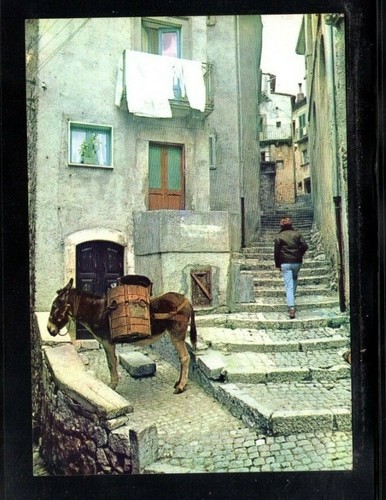 Cartolina parco nazionale - nazionale, d