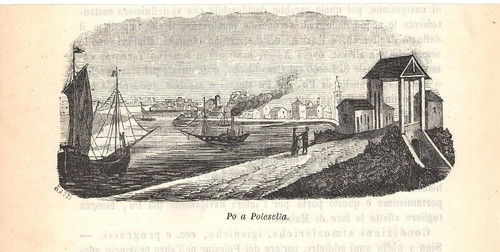 Stampa antica polesella veduta - stampa,