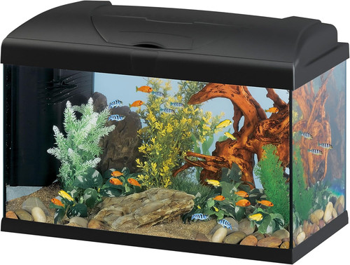 Acquario litri vetro - in,