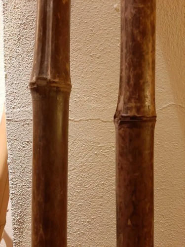 Set canne bambù scure - 5,