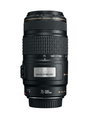 Canon 300 usm afmf - canon, is