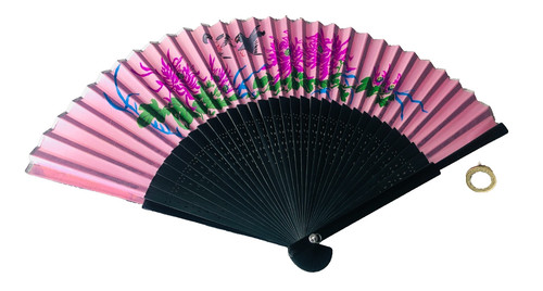 Ventilatore manuale portatile