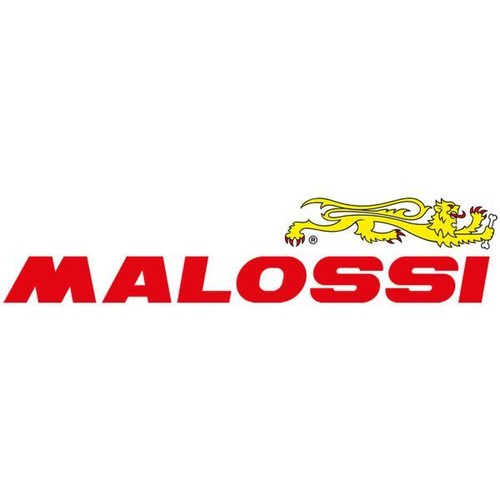 Malossi testa in - malossi,