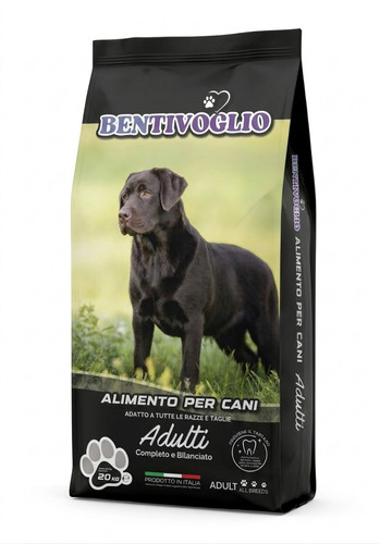 Bentivoglio adult power - 32-22,