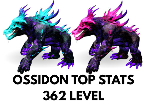 Ossidon top stats 362 level - 362,