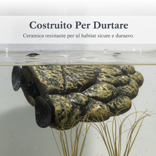 Piattaforma tartarughe - piattaforma,