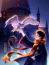 Trapano tondo Harry Potter Diamond arte/pittura 30x40