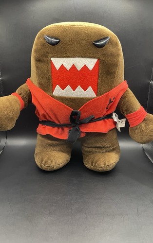 2013 dojo domo karate - 12",