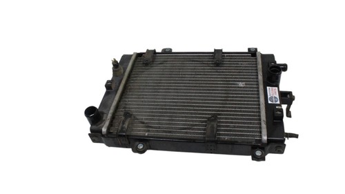 Radiatore acqua kymco xciting - radiatore,