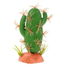  Rettile Cactus Decor Terrario