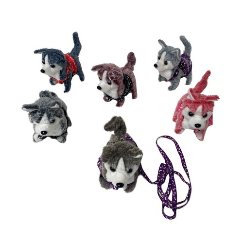 Husky cucciolo cane - di,
