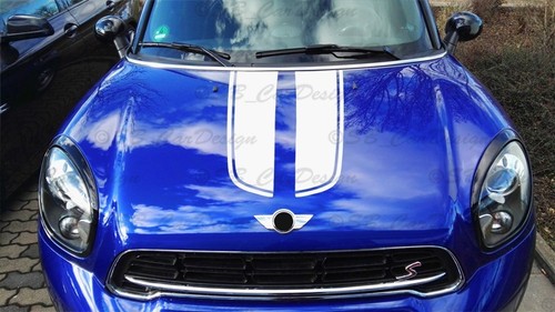 Adesivi strisce viper per mini - adesivi,