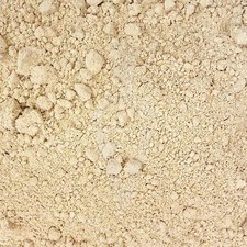 Reishi Ganoderma lucidum fungo