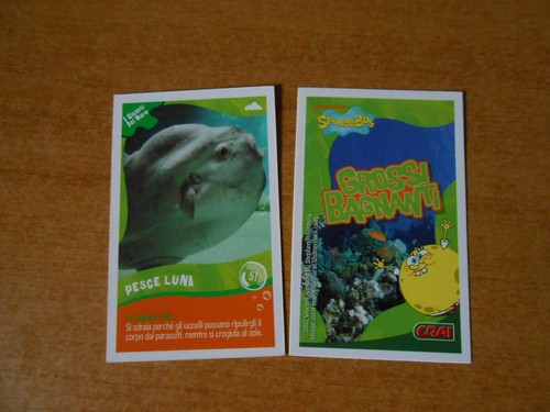 Figurina card spongebob - figurina, crai