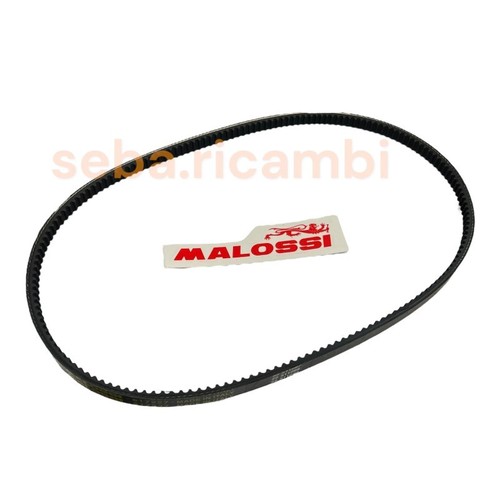Cinghia malossi 100 - malossi, mm