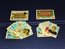 1975-76 TERNANA VARESE