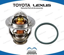 Set termostato e guarnizione