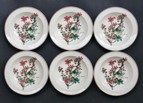 Neuves assiettes creuses - 6,