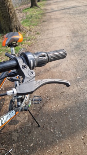 Bicicletta mountain bike - mountain,