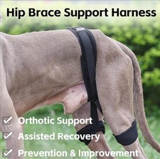 Tutore Anca Supporto